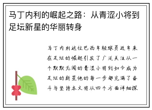 马丁内利的崛起之路：从青涩小将到足坛新星的华丽转身