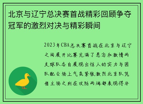 北京与辽宁总决赛首战精彩回顾争夺冠军的激烈对决与精彩瞬间