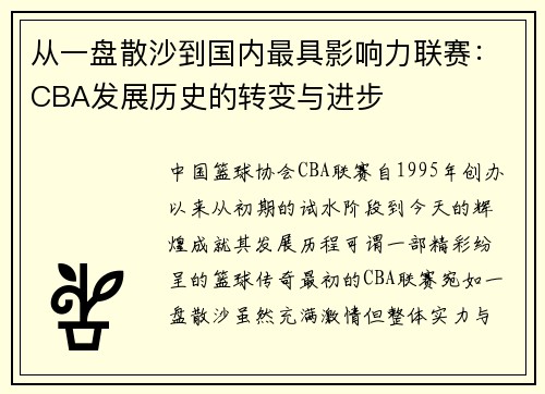 从一盘散沙到国内最具影响力联赛：CBA发展历史的转变与进步