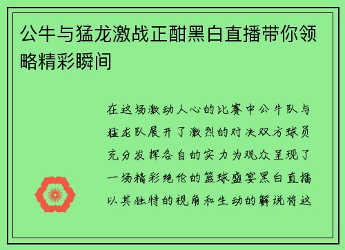 公牛与猛龙激战正酣黑白直播带你领略精彩瞬间