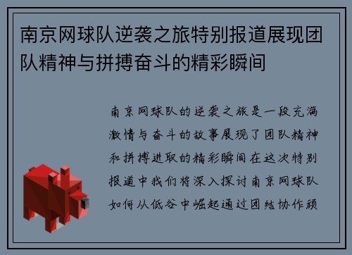南京网球队逆袭之旅特别报道展现团队精神与拼搏奋斗的精彩瞬间